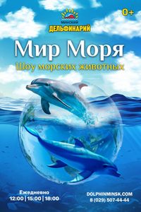 Шоу морских животных «Мир моря»