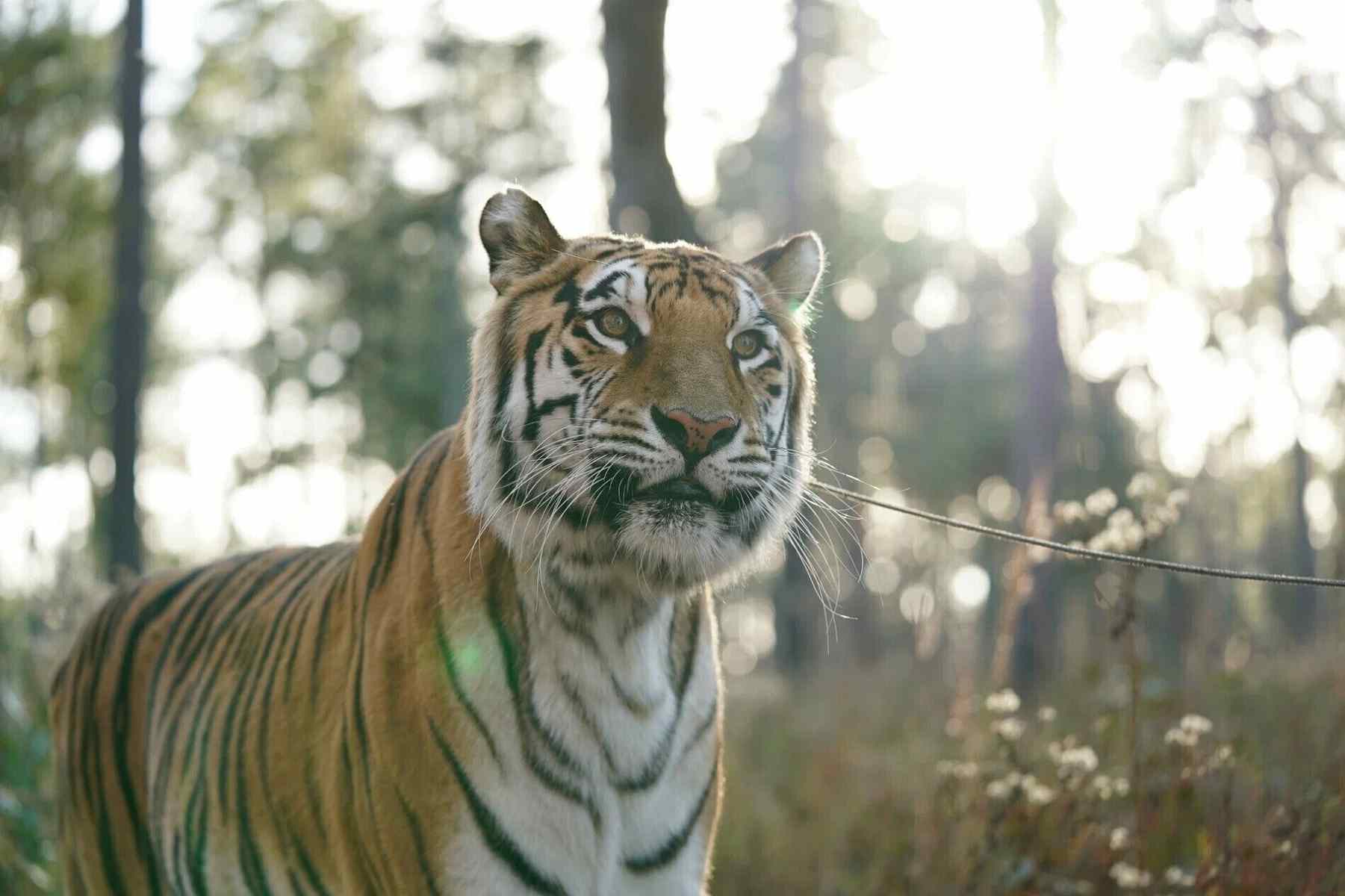 Топ фильмов прошедшей недели и ожидаемые премьеры 17-23 марта