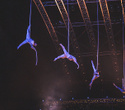 Cirque du Soleil "Quidam", фото № 164