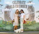 World Cucumber Day – 2021, фото № 531