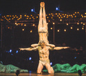 Cirque du Soleil "Quidam", фото № 178