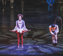 Cirque du Soleil "Quidam", фото № 98