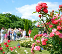 Фестиваль роз, фото № 61