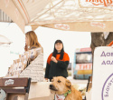 Акция Пушистого Добра, фото № 131