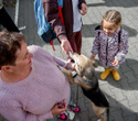Акция пушистого добра, фото № 46