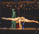 Cirque du Soleil "Quidam", фото № 186