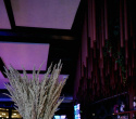 Terra Party, фото № 17