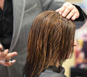 Стрижки и окраски: мировые тренды от CHI, фото № 78