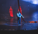 Cirque du Soleil "Quidam", фото № 88