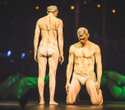Cirque du Soleil "Quidam", фото № 177