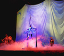 Cirque du Soleil: Dralion в Ледовом дворце (Санкт-Петербург), фото № 46